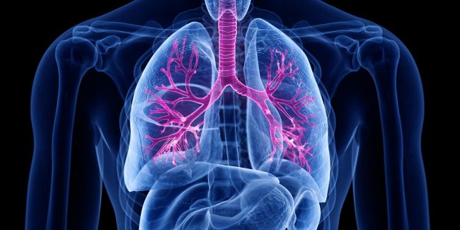 什么是慢性阻塞性肺病 (Chronic Obstructive Pulmonary Disease)，為何與新冠疫情有關(guān)？